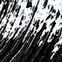 EXTREME BLACK 1