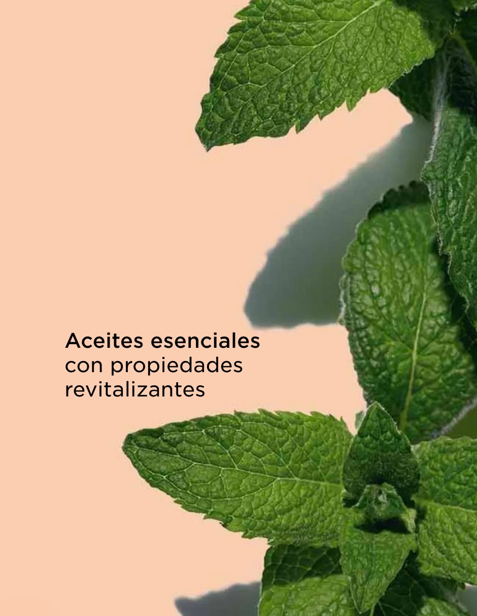 Crema para cuerpo recomendada para revitalizar de día y noche Bath & Shower para piel normal 3