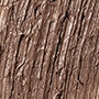 STYLIZED 2