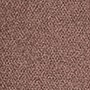 EXCESSIVE BROWN 1