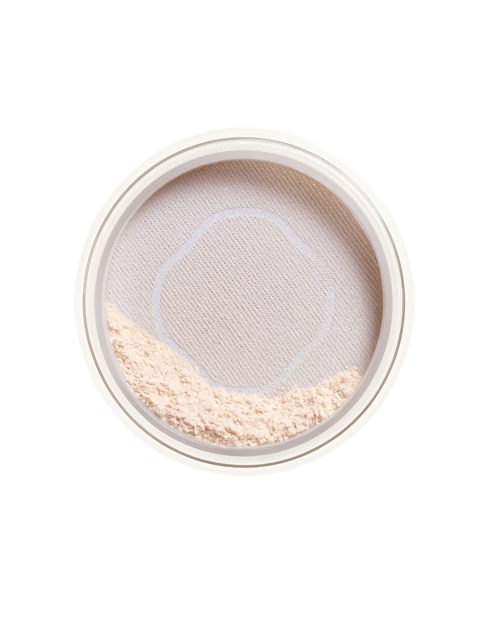 Polvo traslúcido Shiseido Synchro Skin