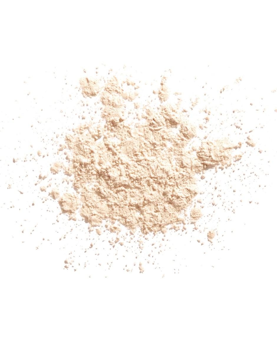 Polvo traslúcido Shiseido Synchro Skin