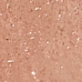 03 KURUMI BEIGE 6