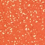06 DAIDAI ORANGE 7
