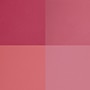 FUCSIA 1