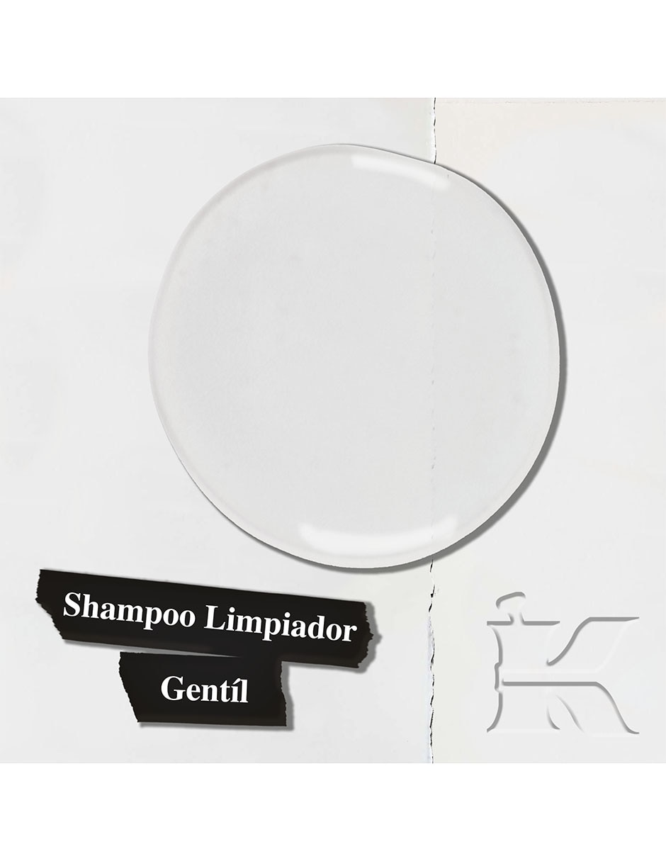 Shampoo para cabello Amino Acid Fórmula ligera 1 L 2