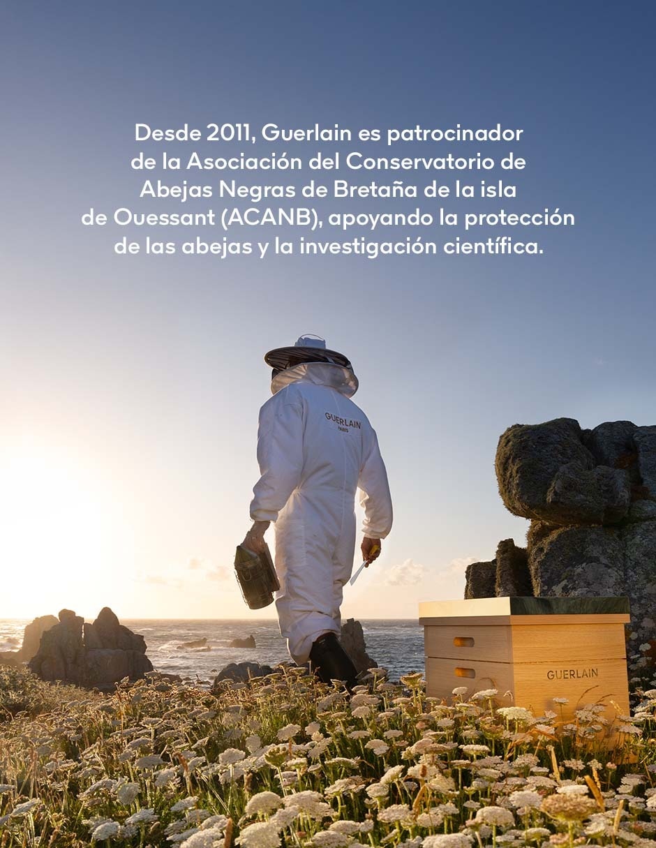 Sérum antiedad facial Abeille Royale todo tipo piel 7