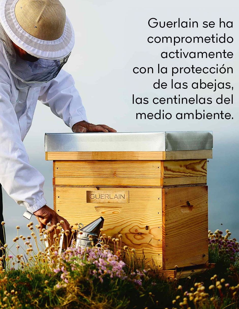 Hidratante facial Abeille Royale 9