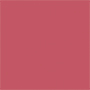 ROSA 6