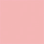 ROSA CLARO 5