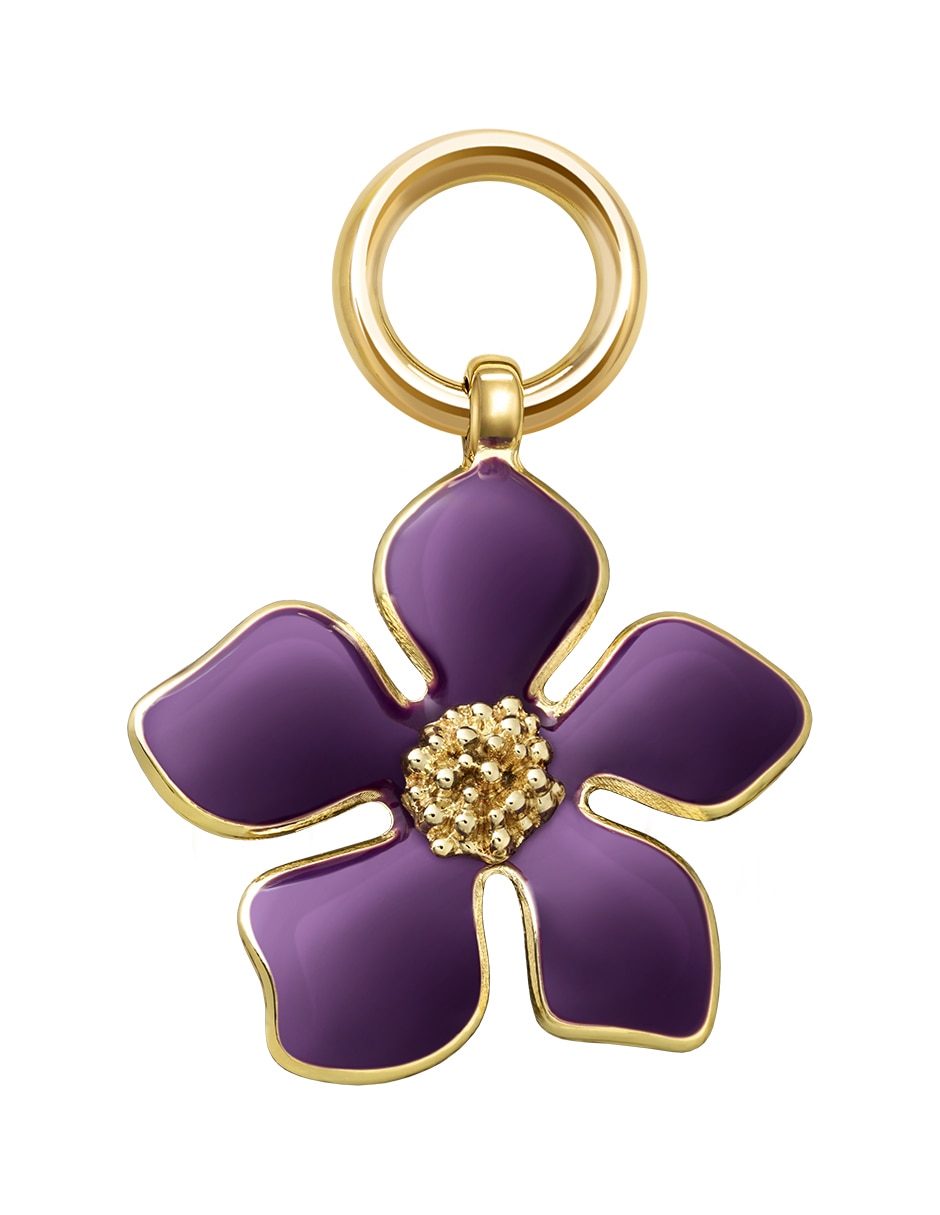 Charm