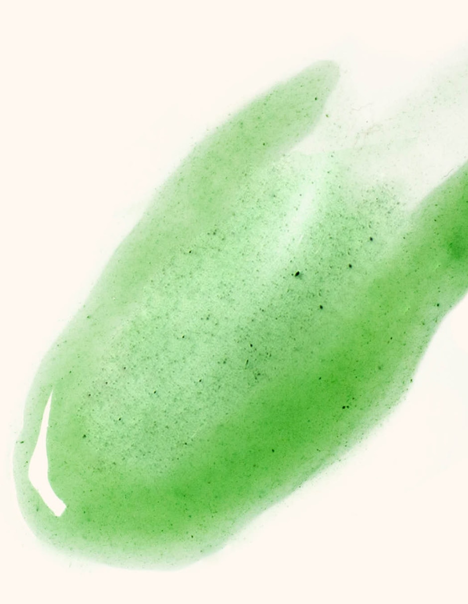 Sérum nutritivo facial Verde Hidratante todo tipo piel 2