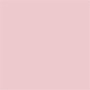 Rosa tenue 2