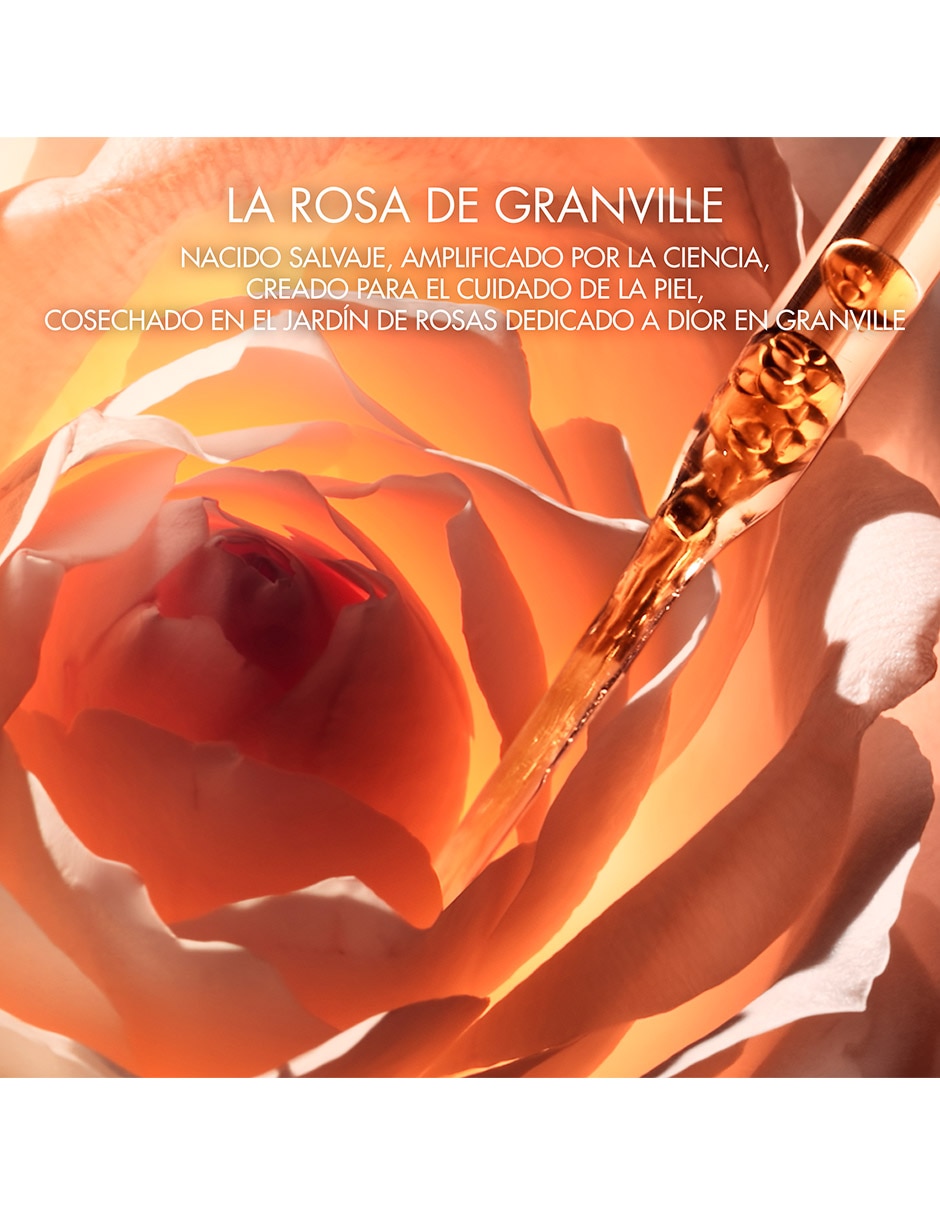 Sérum antiedad facial La Micro-Huile de Rose Activated 50ml Prestige todo tipo piel 7