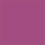 12 VIOLET INTENSO 6