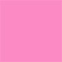 Rosa 7