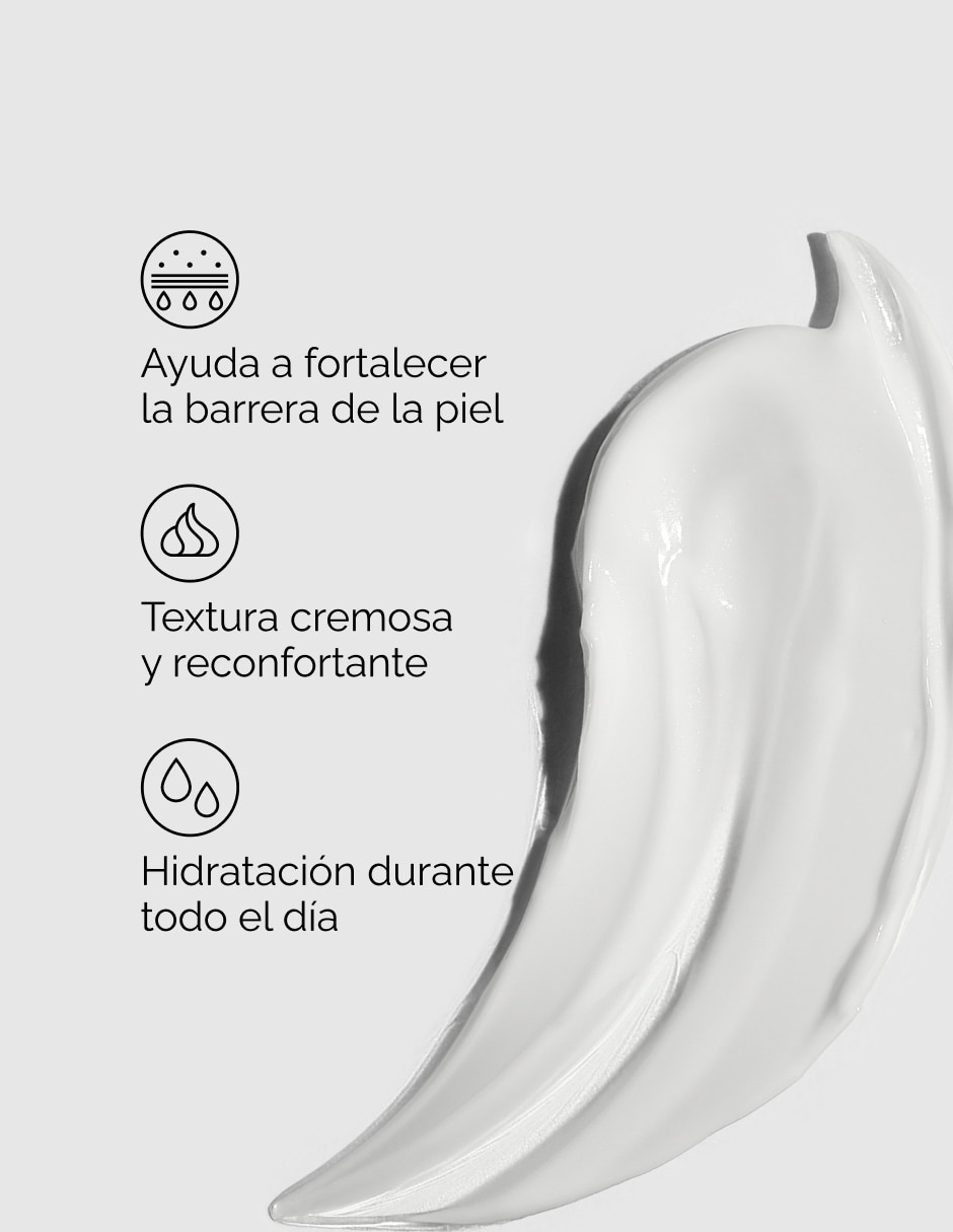 Tratamiento facial Crema Hidratante Natural Moisturizing Factors + PhytoCeramides 10 ml The Ordinary