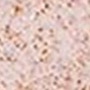 Taupe 1