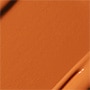 PURE ORANGE 1