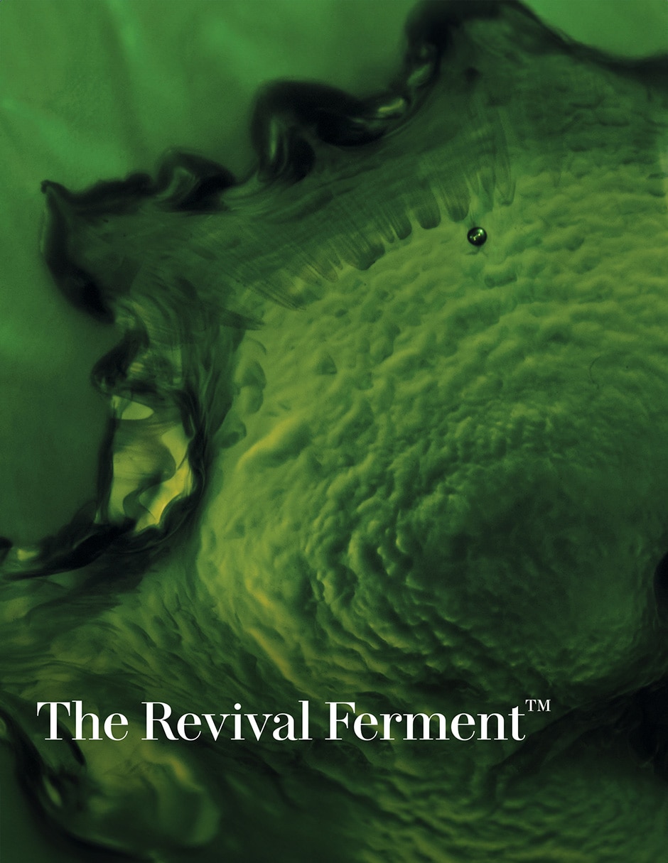 Tónico hidratante Lm The Treatment Lotion 2