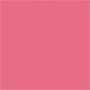 Rosa 7